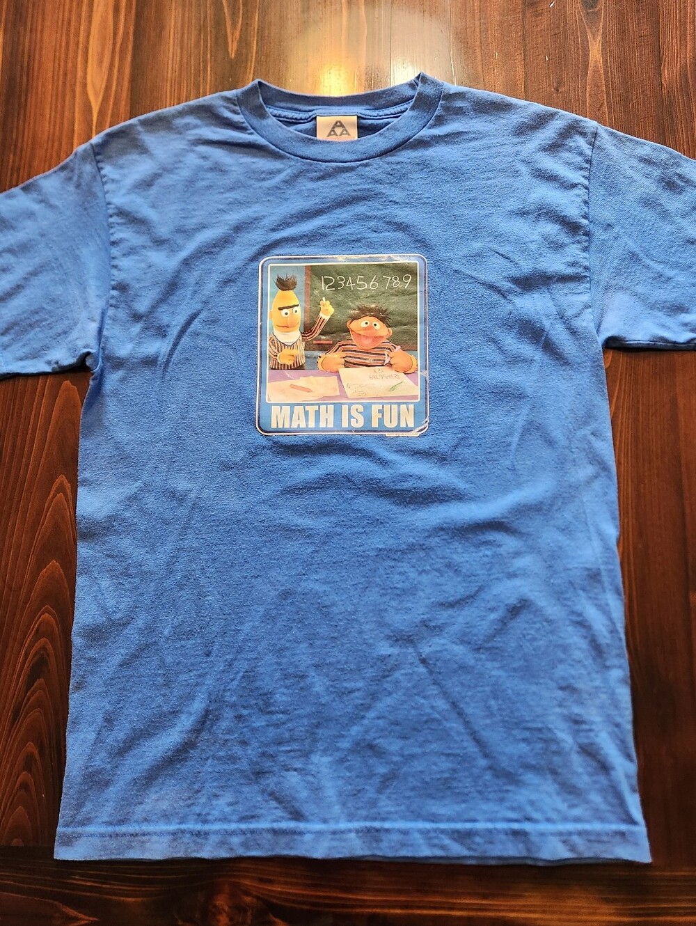 Y2K Sesame Street "Math Is Fun" Graphic Tee - Blue Vintage Bert and Ernie Shirt
